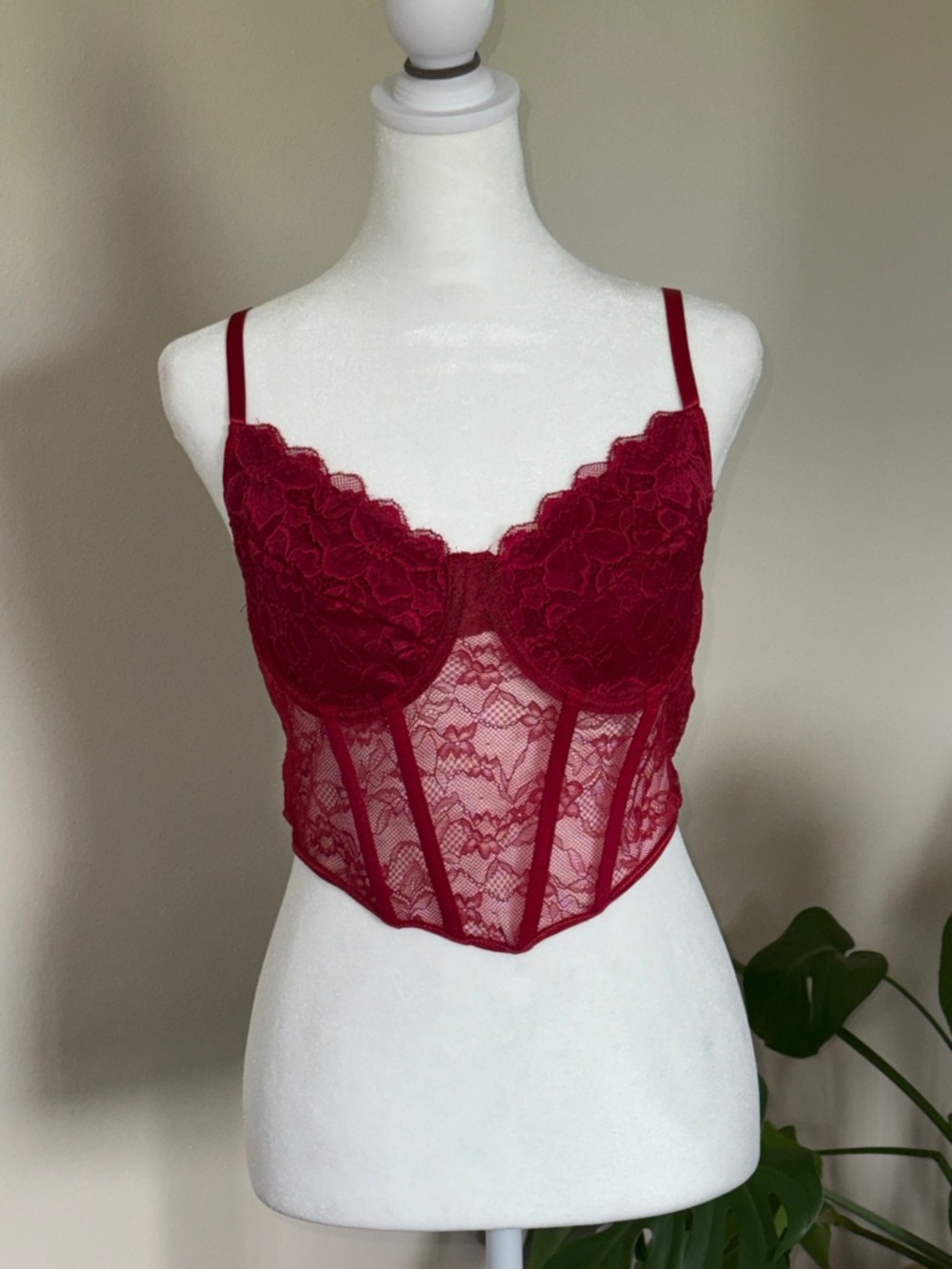 Red Lace Bustier Corset Top - Women's Intimates, Large